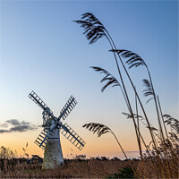 Buy canvas prints of Sunrise at Thurne Mill, Norfolk Broads  by Lesley Moran