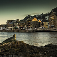 Buy canvas prints of Looe harbour seal sculpture by Dave Sibley
