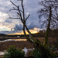Buy canvas prints of By the Loch by Ken Hunter