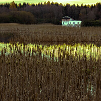 Buy canvas prints of Boathouse and Bullrushes by Ken Hunter