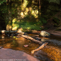 Buy canvas prints of Dappled Sunlight in the Gorge by Ken Hunter