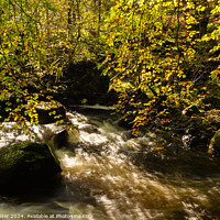 Buy canvas prints of Dappled Sunlit Autumn Leaves and Rushing River by Ken Hunter