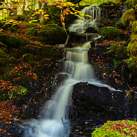 Buy canvas prints of Woodland Waterfall in Autumn by Ken Hunter