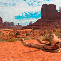 Buy canvas prints of Dead Tree at Monument Valley by Ken Hunter