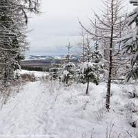 Buy canvas prints of Winter in the Lomond Hills, Fife by Ken Hunter