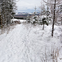 Buy canvas prints of Winter in the Lomond Hills, Fife (2) by Ken Hunter
