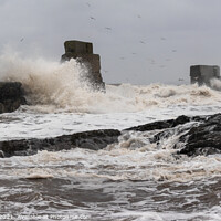 Buy canvas prints of Boiling Sea at Kirkcaldy Old Sea Wall by Ken Hunter