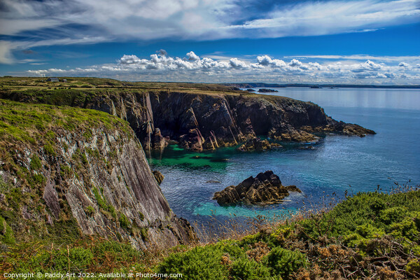 St. Non's Bay, Pembrokeshire Picture Board by Paddy Art