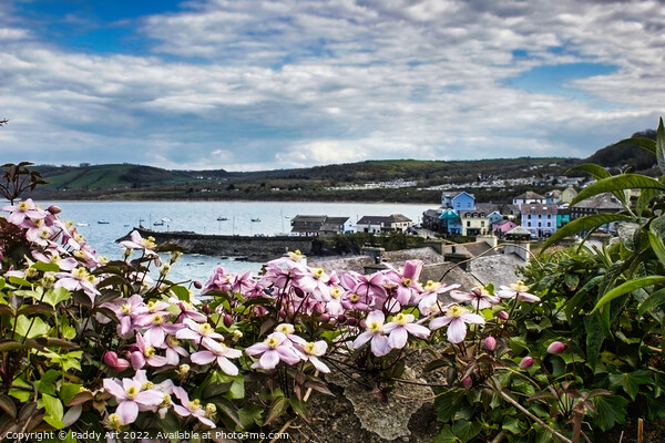 New Quay through the Clematis. Picture Board by Paddy Art