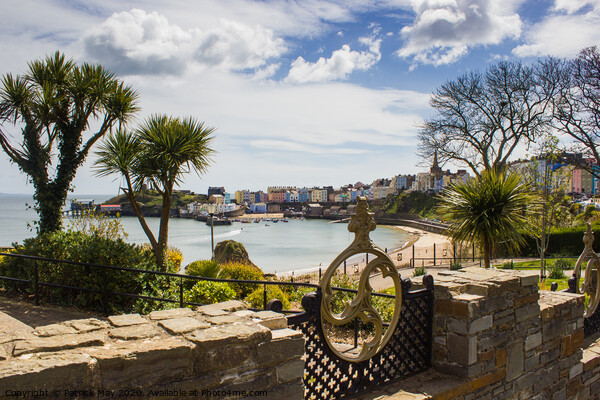 Tropical Tenby Picture Board by Paddy Art