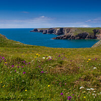 Buy canvas prints of Flowers over Castlemartin by Paddy Art