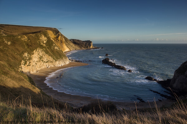 Man O'War Bay, Jurassic Coast. Dorset Picture Board by Paddy Art