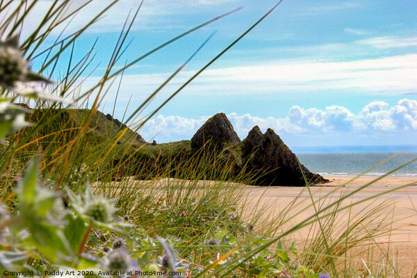 Three Cliffs - Gower, Through the Marram Picture Board by Paddy Art