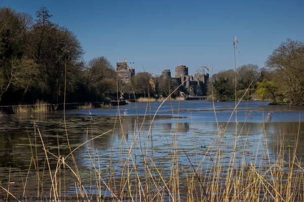 Pembroke Castle - Across the Mill Pond Picture Board by Paddy Art