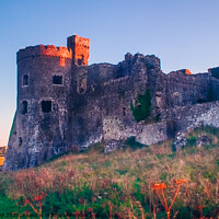 Buy canvas prints of Carew Castle - Pembrokeshire by Paddy Art
