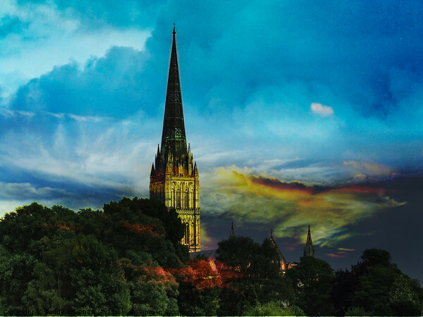 Salisbury Cathedral Standing Tall Picture Board by Paddy Art
