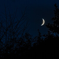 Buy canvas prints of The Waxing Crescent by Paddy Art