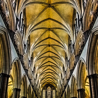Buy canvas prints of Salisbury Cathedral Nave Ceiling. by Paddy Art