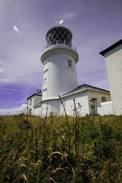 Caldey Island Lighthouse - Pembrokeshire Picture Board by Paddy Art