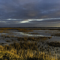 Buy canvas prints of Pagham Harbour by Paul Tyzack