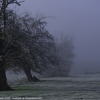 Buy canvas prints of Frosted trees by Paul Tyzack