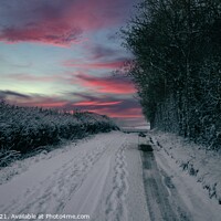 Buy canvas prints of Snowy lane by Paul Tyzack