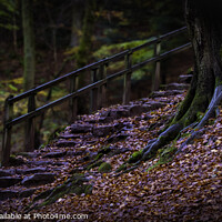 Buy canvas prints of Stone steps by Phill Ratcliffe