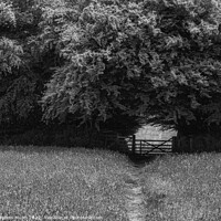 Buy canvas prints of Gateway to the fields by Stephen Munn