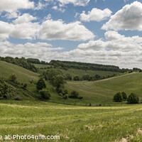 Buy canvas prints of Valley on the Cranborne Chase by Stephen Munn