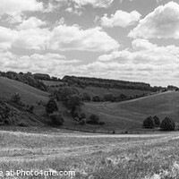 Buy canvas prints of Valley on the Cranborne Chase in black and white by Stephen Munn