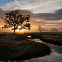 Buy canvas prints of Sunrise, Longwater Lawn, New Forest National Park by Stephen Munn