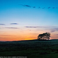 Buy canvas prints of Woodford Bottom Sunset, New Forest National Park by Stephen Munn