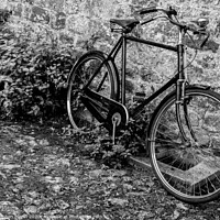 Buy canvas prints of The old Bicycle by Stephen Munn