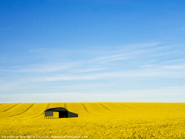 Rapeseed Barn, Cranborne Chase Picture Board by Stephen Munn