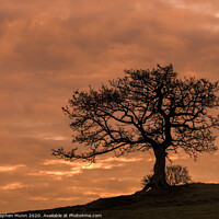 Buy canvas prints of Peak District Sunrise tree by Stephen Munn