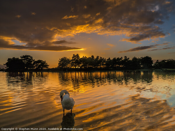 Sunset over Hatchet Pond, New Forest National Park Picture Board by Stephen Munn