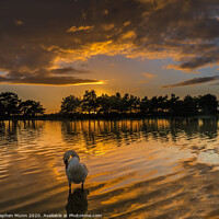 Buy canvas prints of Sunset over Hatchet Pond, New Forest National Park by Stephen Munn