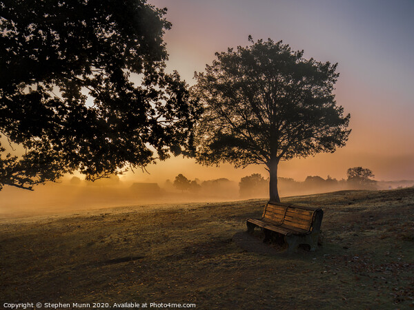Sunrise bench, New Forest National Park Picture Board by Stephen Munn