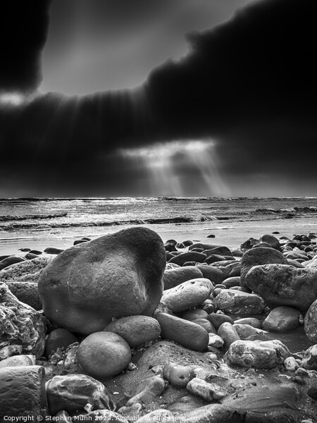 Lyme Regis stoney beach Picture Board by Stephen Munn