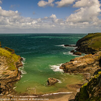 Buy canvas prints of Coastline and cliffs at Tintagel, Cornwall by Michael Shannon