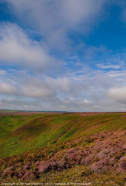 Heather Moorland - The North Yorkshire Moors Picture Board by Michael Shannon