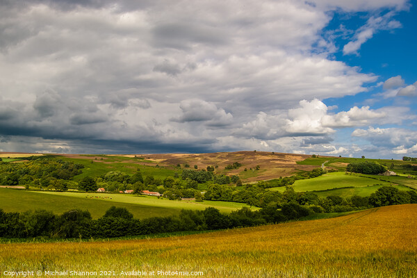 The North Yorkshire Moors in late Summer Picture Board by Michael Shannon