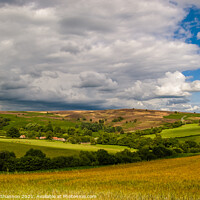 Buy canvas prints of The North Yorkshire Moors in late Summer by Michael Shannon