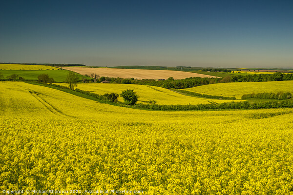 Yorkshire Wolds, Kirby Grindalythe Picture Board by Michael Shannon