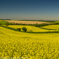 Buy canvas prints of Yorkshire Wolds, Kirby Grindalythe by Michael Shannon