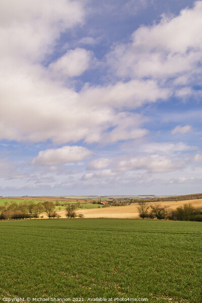 Yorkshire Wolds near Kirby Grindalythe Picture Board by Michael Shannon