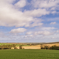 Buy canvas prints of Yorkshire Wolds near Kirby Grindalythe by Michael Shannon