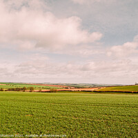 Buy canvas prints of The Yorkshire Wolds near the village of Kirby Grin by Michael Shannon