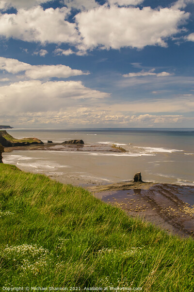 Saltwick Bay, North Yorkshire Coast Picture Board by Michael Shannon