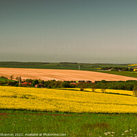 Buy canvas prints of Landscape of the Yorkshire Wolds near Kirby Grinda by Michael Shannon
